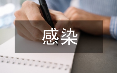 感染監(jiān)控個人述職述廉