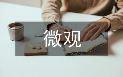 微觀經(jīng)濟(jì)學(xué)的經(jīng)濟(jì)現(xiàn)象