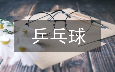 乒乓球教練員專業(yè)技術(shù)總結(jié)
