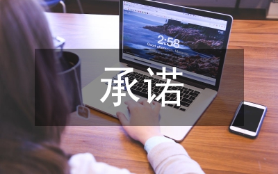 經(jīng)貿(mào)委黨委承諾調(diào)研報(bào)告