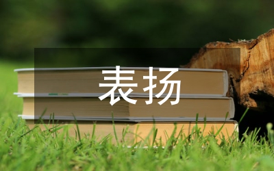 表?yè)P(yáng)