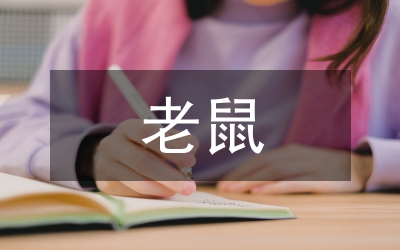 人生老鼠