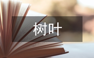 梧桐樹葉