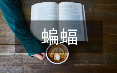 蝙蝠和雷達