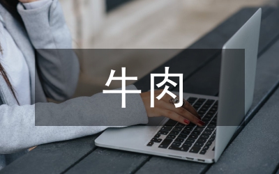 牛肉公司銷售部個(gè)人小結(jié)