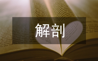 解剖料場(chǎng)復(fù)查在質(zhì)量的運(yùn)用