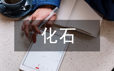 化石