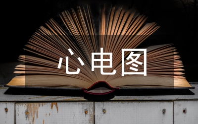 低電壓手持心電電路設(shè)計論文