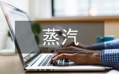 蒸汽流量計(jì)量分析論文