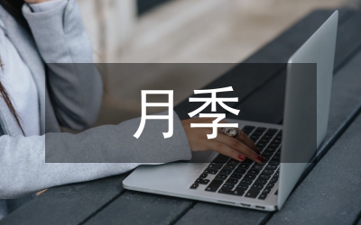 月季花的作文