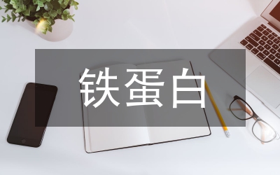 鐵蛋白