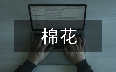 棉花藥害癥狀