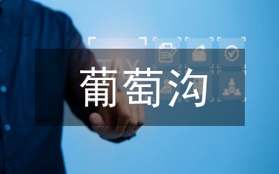 設(shè)施葡萄種植技術(shù)探索