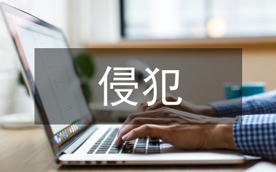知識(shí)產(chǎn)權(quán)侵犯整治方案