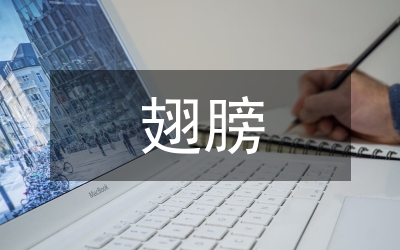 翅膀與黃金稅務(wù)廉潔奉公演講