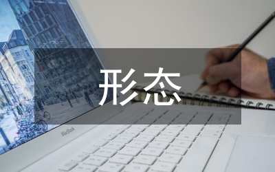 網(wǎng)絡(luò)傳播形態(tài)