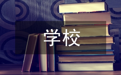 獨家原創(chuàng):學(xué)校基層組織建設(shè)匯報材料