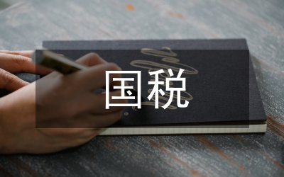 國(guó)稅第二階段查擺出問題及機(jī)關(guān)效能建設(shè)整改措施