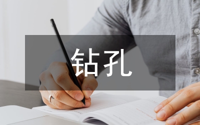 鉆孔灌注樁質(zhì)量檢控論文