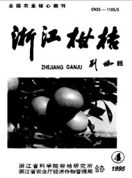 浙江柑桔