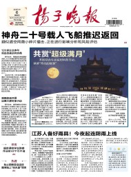 揚(yáng)子晚報雜志