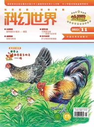 小牛頓雜志